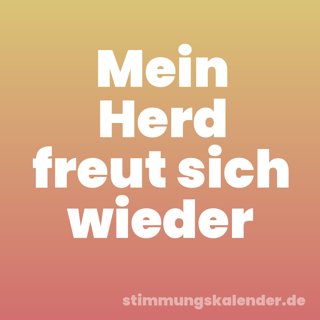 Mein Herd freut sich wieder