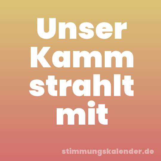 Unser Kamm strahlt mit