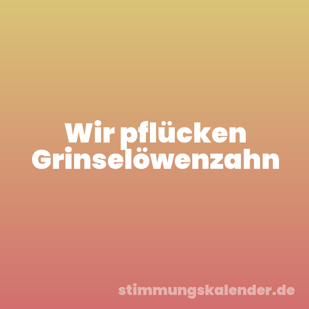 Wir pflücken Grinselöwenzahn