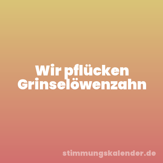 Wir pflücken Grinselöwenzahn