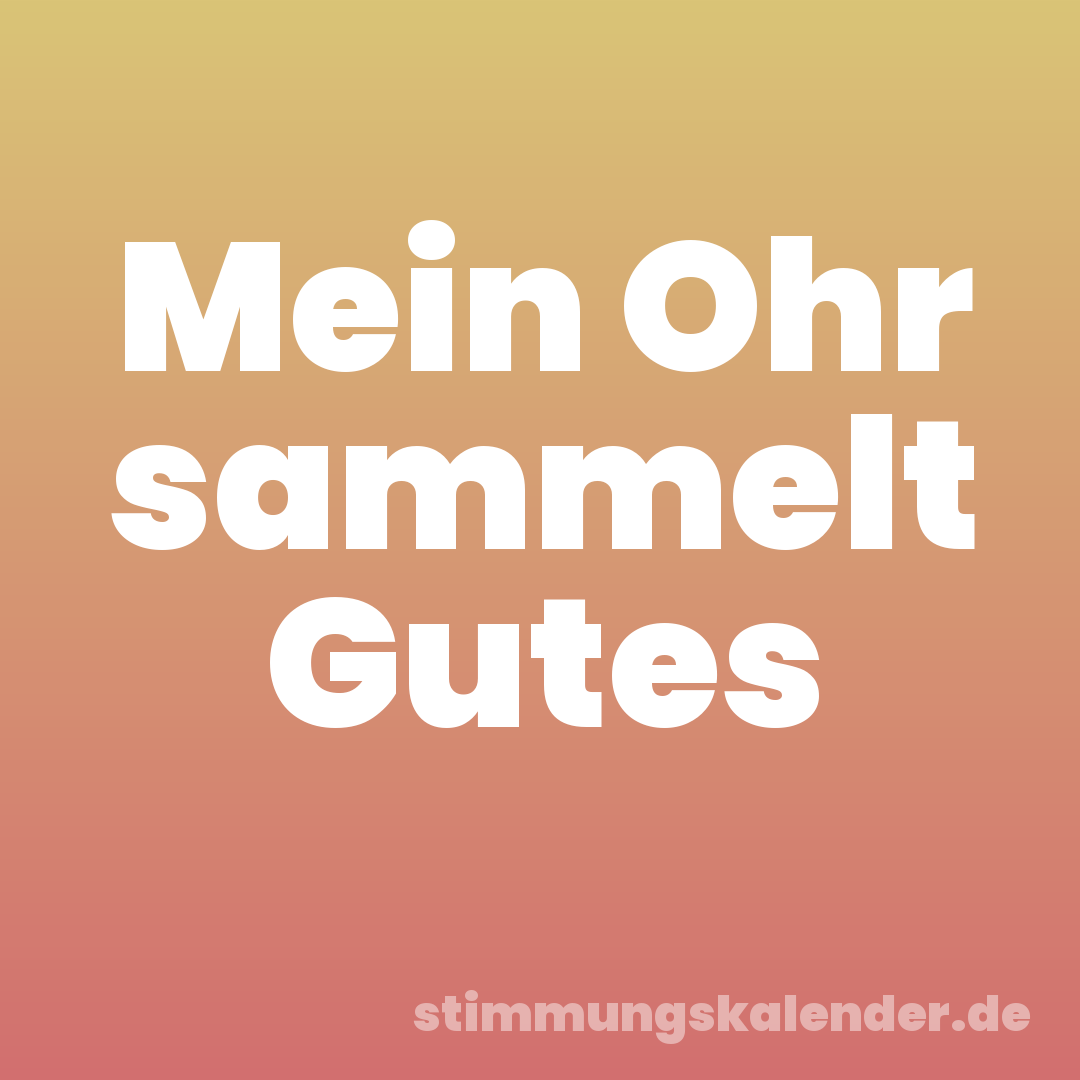 Mein Ohr sammelt Gutes