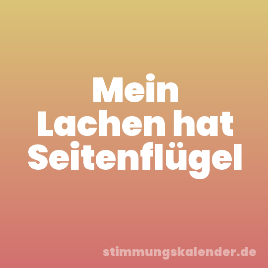 Mein Lachen hat Seitenflügel