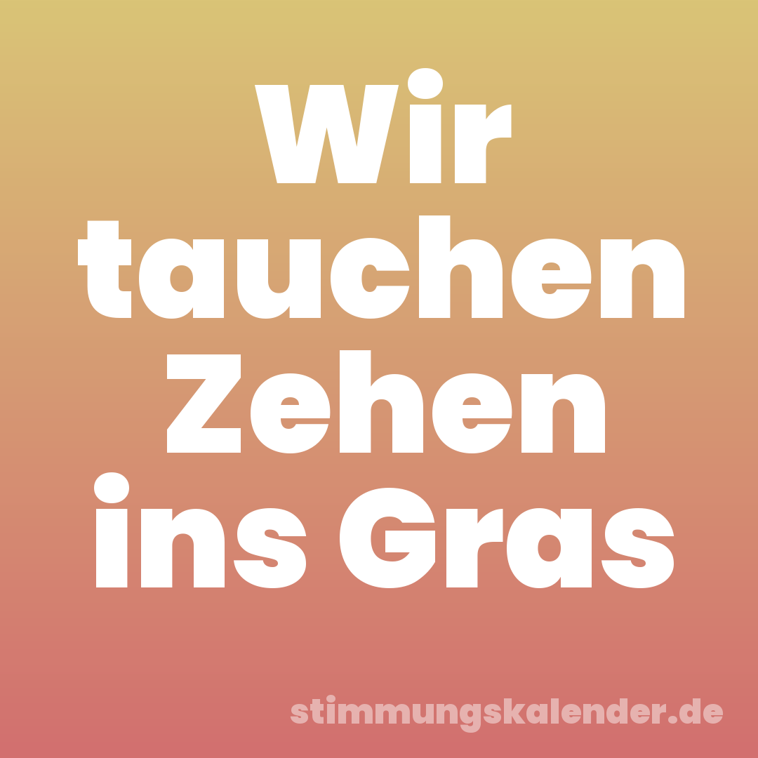 Wir tauchen Zehen ins Gras