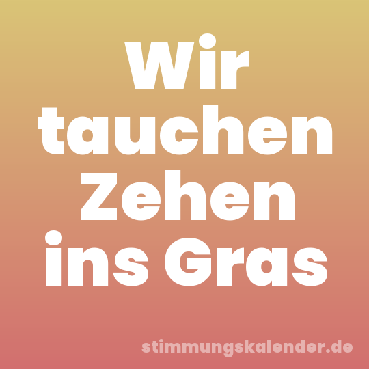 Wir tauchen Zehen ins Gras