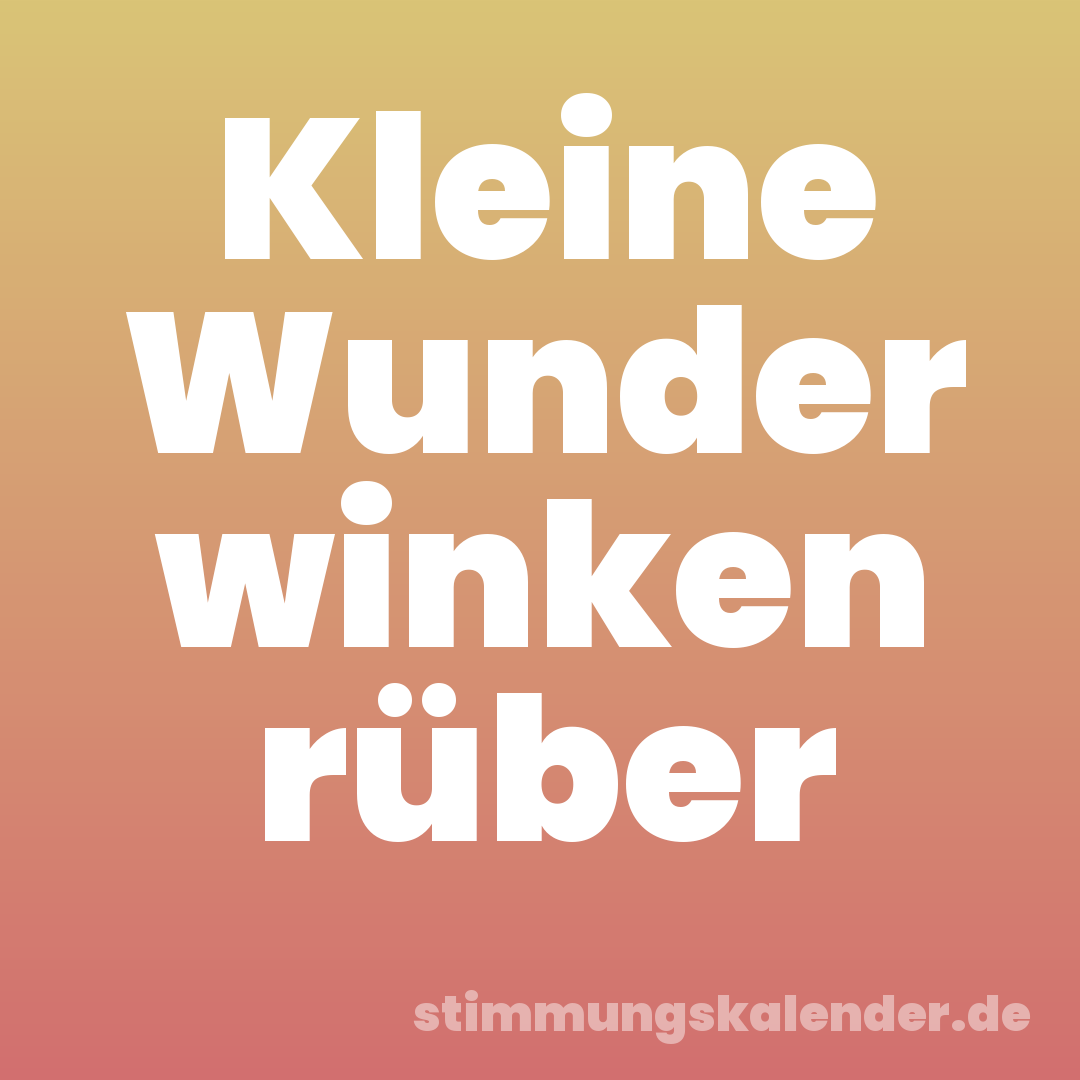 Kleine Wunder winken rüber