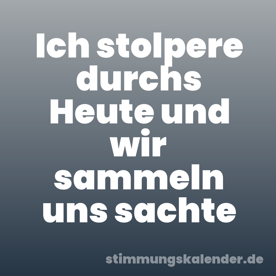 Ich stolpere durchs Heute und wir sammeln uns sachte