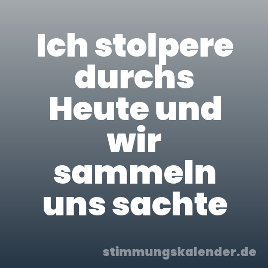Ich stolpere durchs Heute und wir sammeln uns sachte