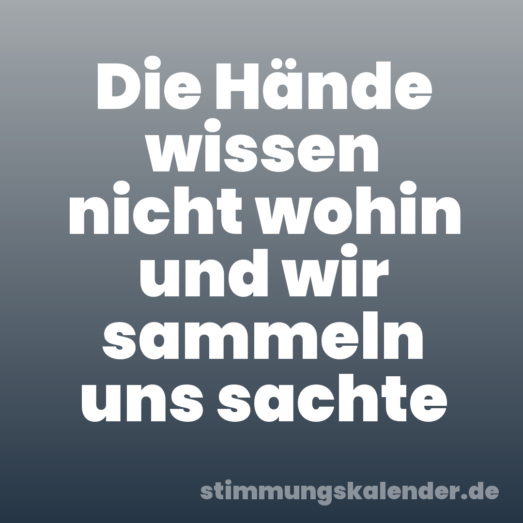 Die Hände wissen nicht wohin und wir sammeln uns sachte