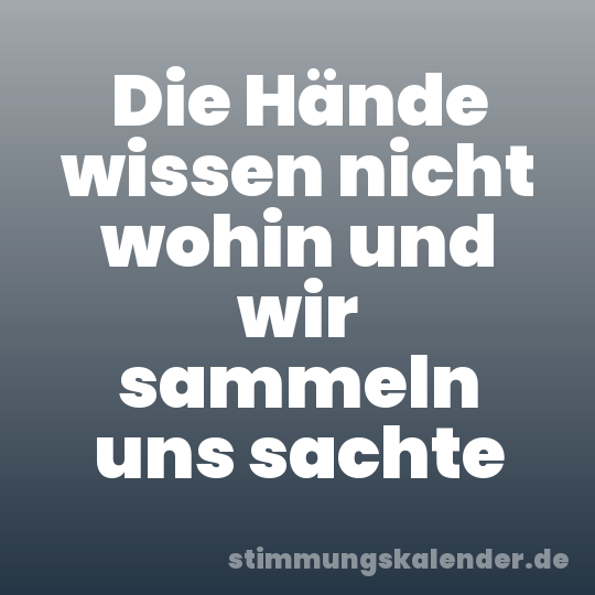 Die Hände wissen nicht wohin und wir sammeln uns sachte