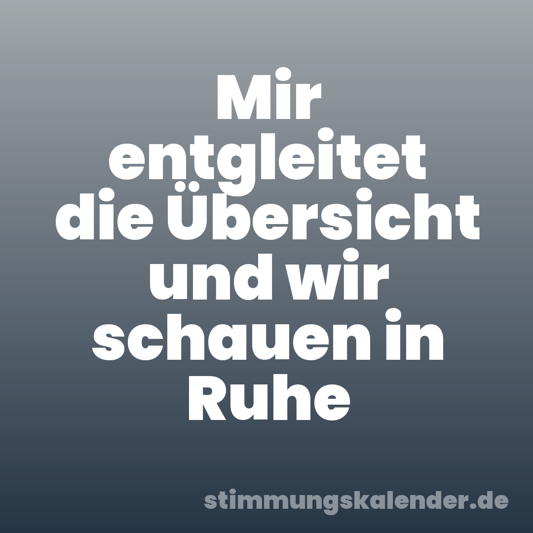 Mir entgleitet die Übersicht und wir schauen in Ruhe