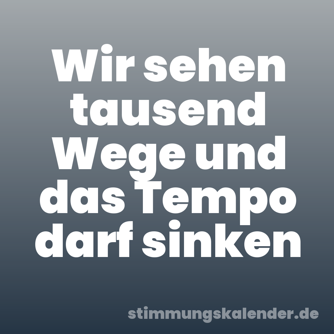 Wir sehen tausend Wege und das Tempo darf sinken