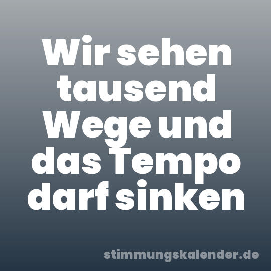 Wir sehen tausend Wege und das Tempo darf sinken