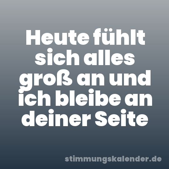 Heute fühlt sich alles groß an und ich bleibe an deiner Seite
