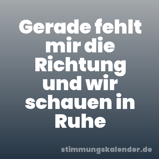 Gerade fehlt mir die Richtung und wir schauen in Ruhe