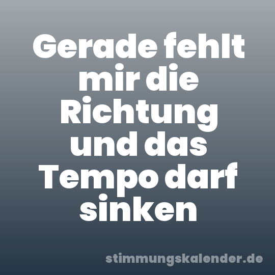 Gerade fehlt mir die Richtung und das Tempo darf sinken