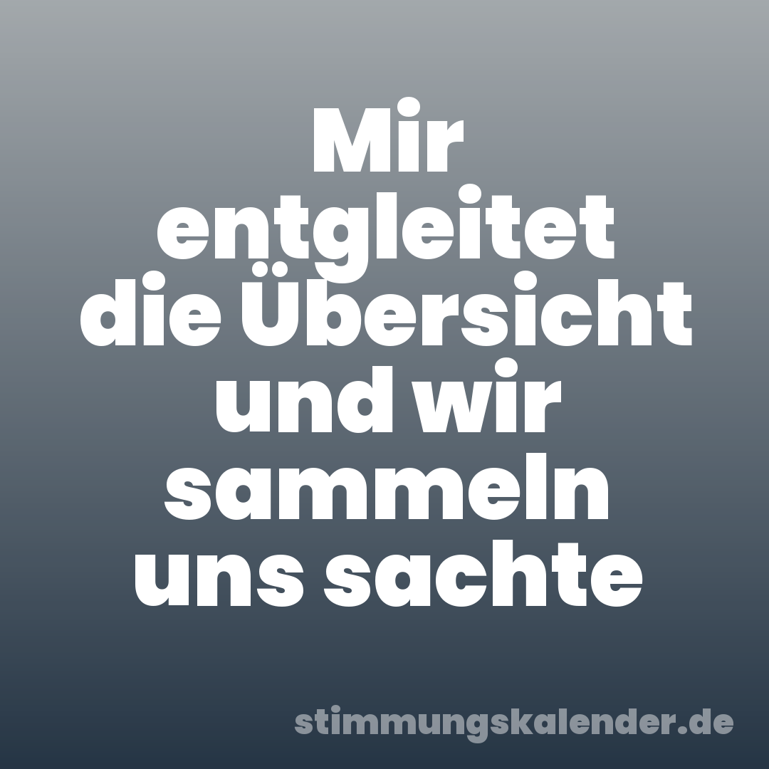 Mir entgleitet die Übersicht und wir sammeln uns sachte