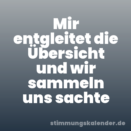 Mir entgleitet die Übersicht und wir sammeln uns sachte