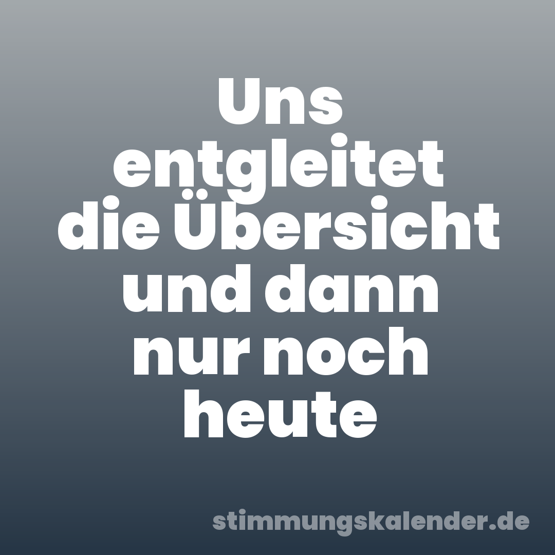 Uns entgleitet die Übersicht und dann nur noch heute