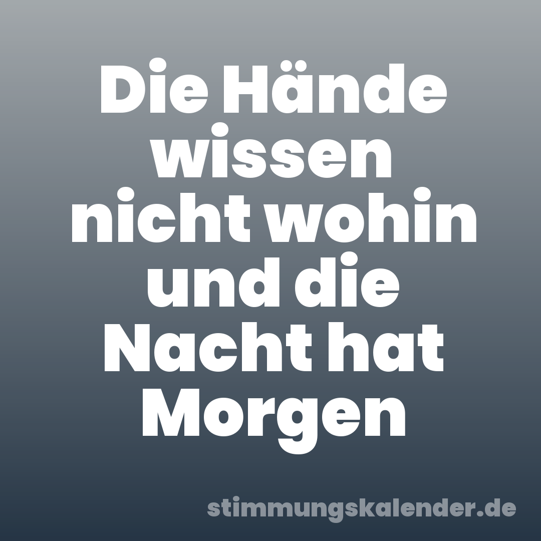 Die Hände wissen nicht wohin und die Nacht hat Morgen