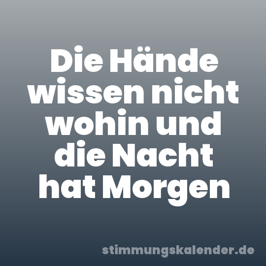 Die Hände wissen nicht wohin und die Nacht hat Morgen