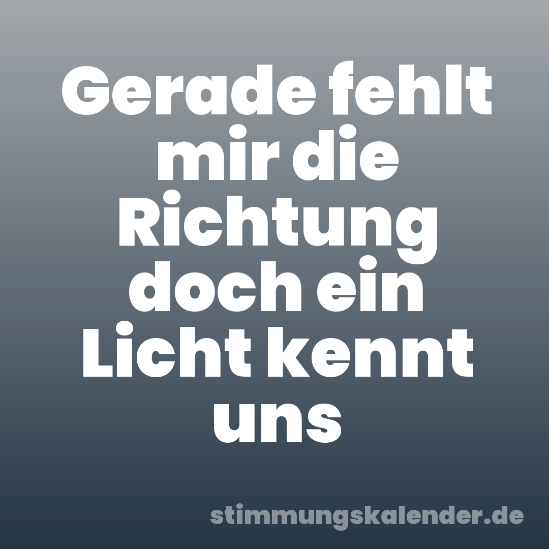 Gerade fehlt mir die Richtung doch ein Licht kennt uns