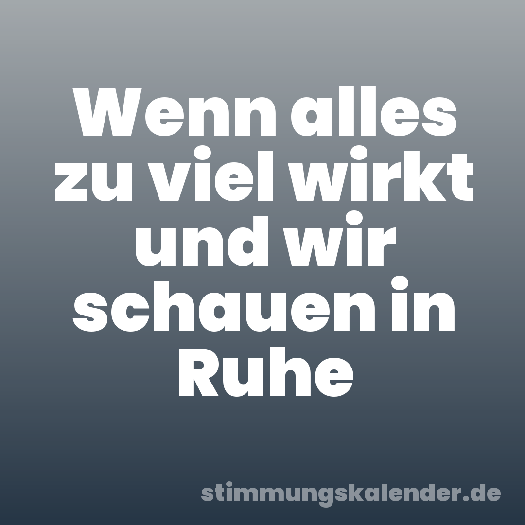 Wenn alles zu viel wirkt und wir schauen in Ruhe
