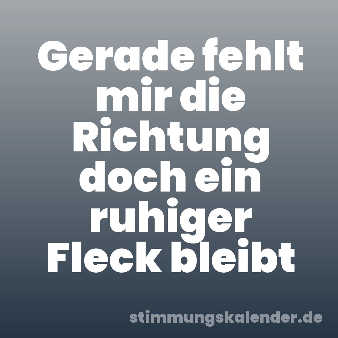 Gerade fehlt mir die Richtung doch ein ruhiger Fleck bleibt