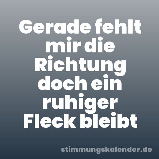 Gerade fehlt mir die Richtung doch ein ruhiger Fleck bleibt