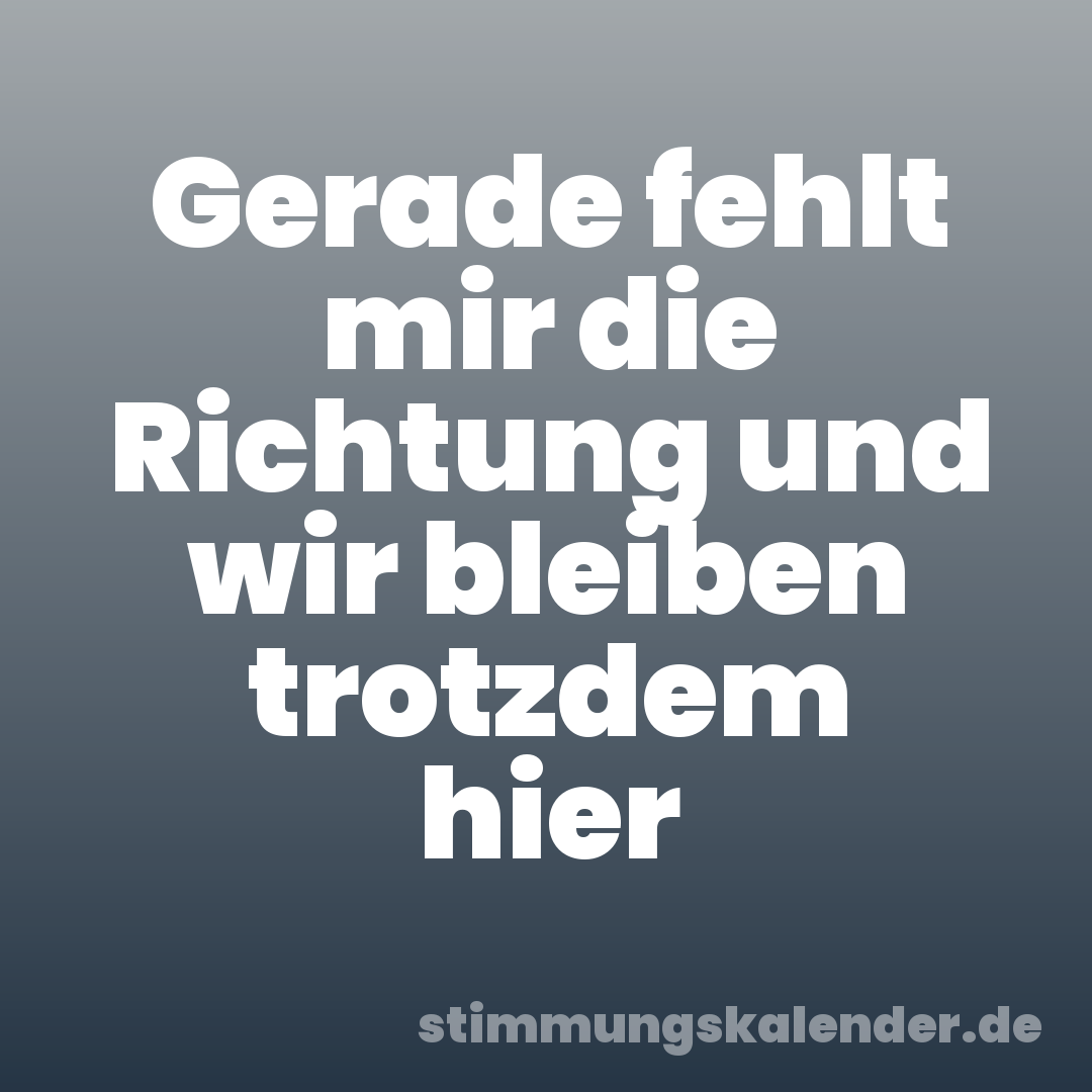 Gerade fehlt mir die Richtung und wir bleiben trotzdem hier