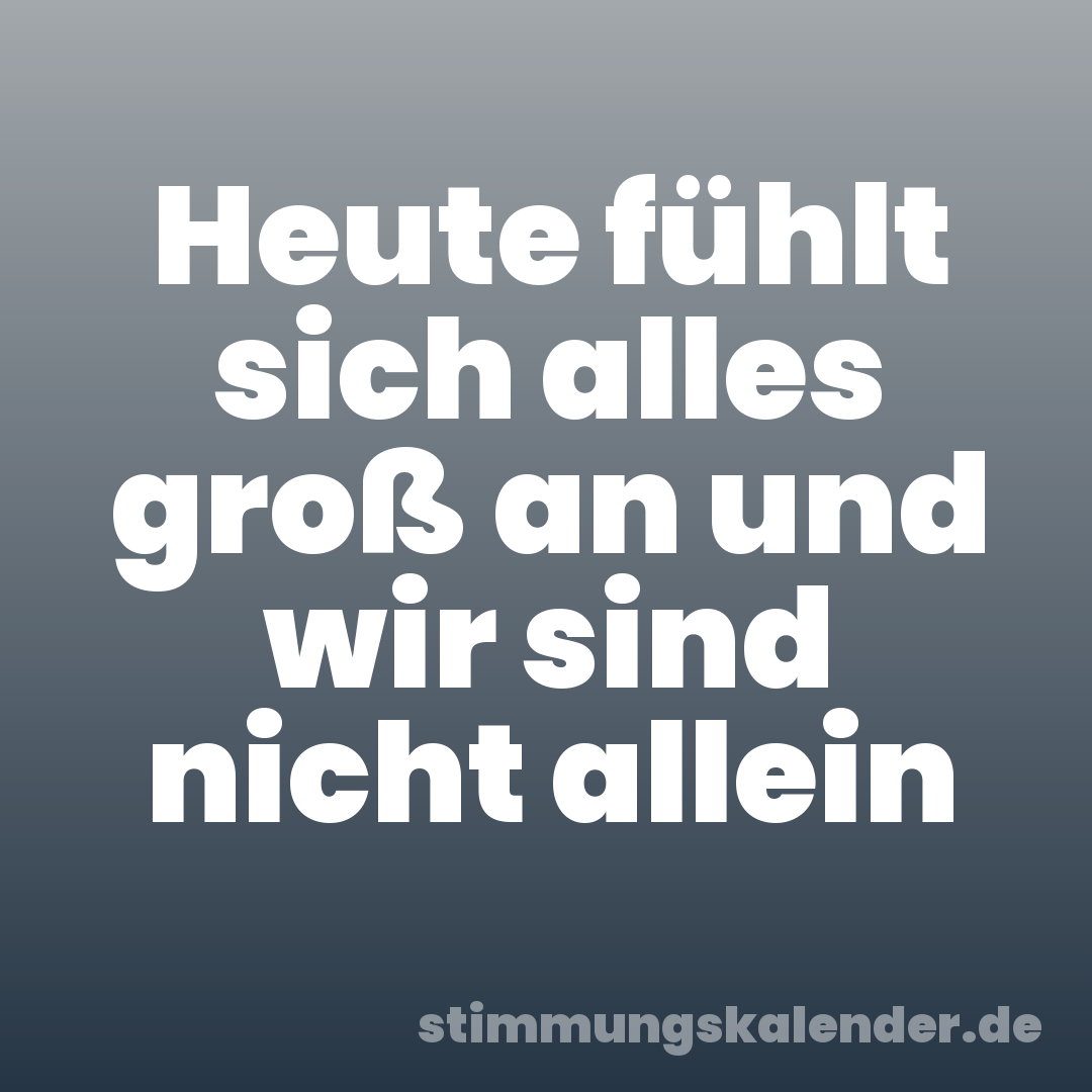 Heute fühlt sich alles groß an und wir sind nicht allein