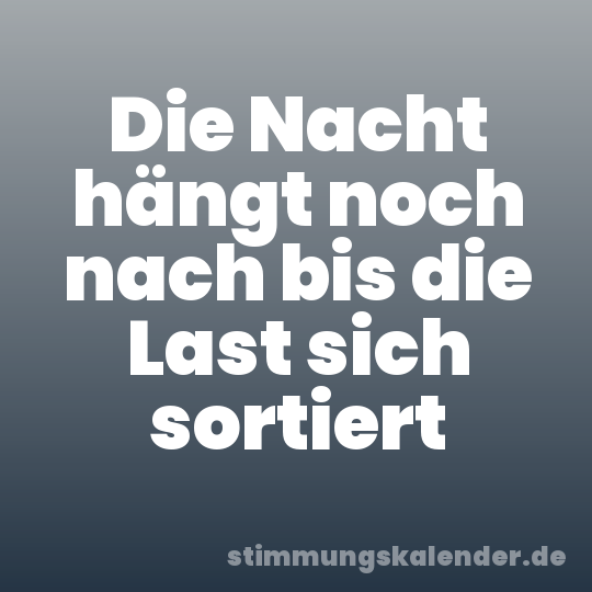 Die Nacht hängt noch nach bis die Last sich sortiert