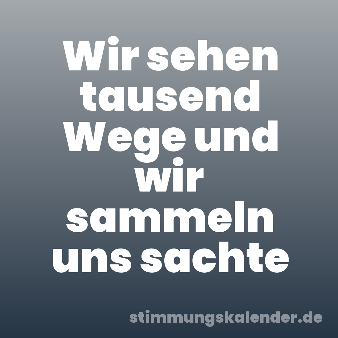 Wir sehen tausend Wege und wir sammeln uns sachte