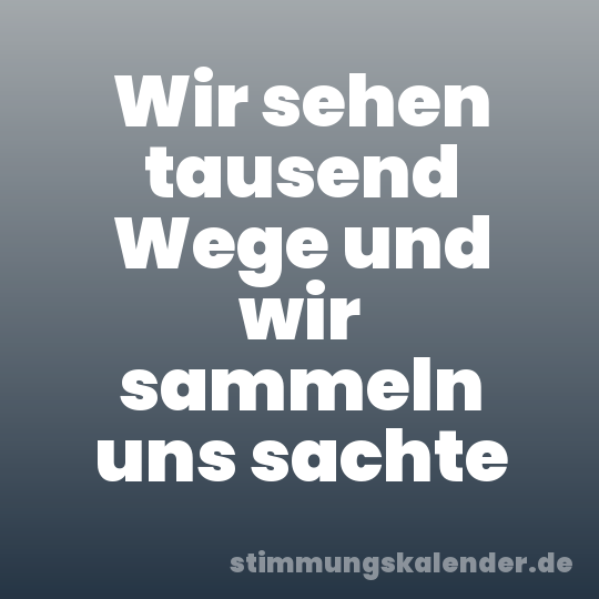 Wir sehen tausend Wege und wir sammeln uns sachte