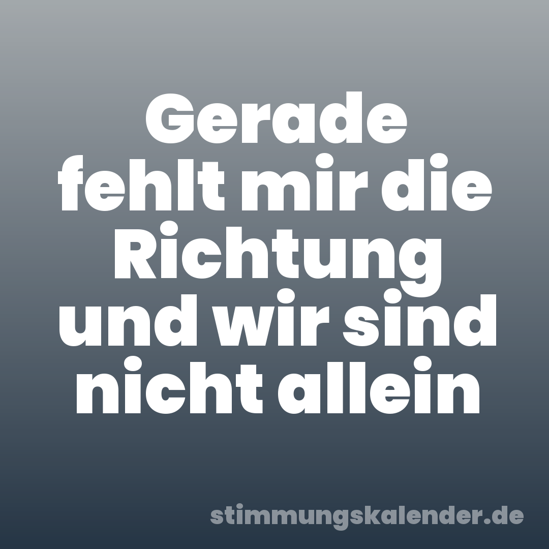 Gerade fehlt mir die Richtung und wir sind nicht allein