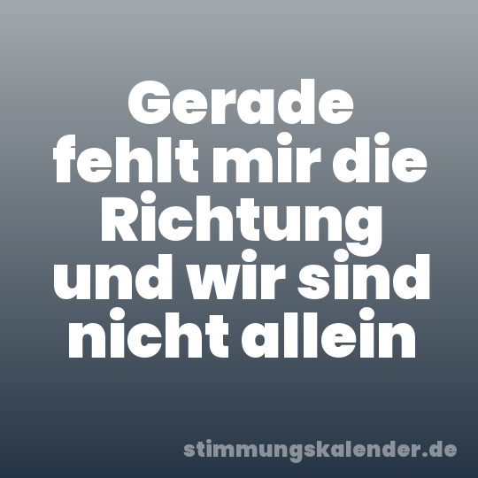 Gerade fehlt mir die Richtung und wir sind nicht allein