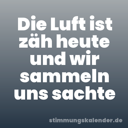 Die Luft ist zäh heute und wir sammeln uns sachte