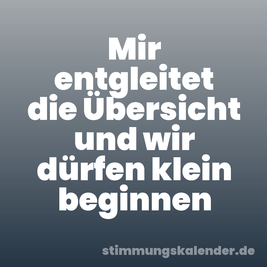 Mir entgleitet die Übersicht und wir dürfen klein beginnen