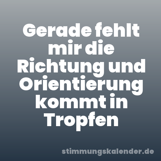 Gerade fehlt mir die Richtung und Orientierung kommt in Tropfen
