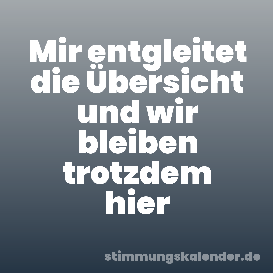 Mir entgleitet die Übersicht und wir bleiben trotzdem hier