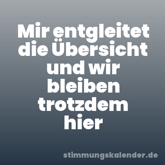 Mir entgleitet die Übersicht und wir bleiben trotzdem hier