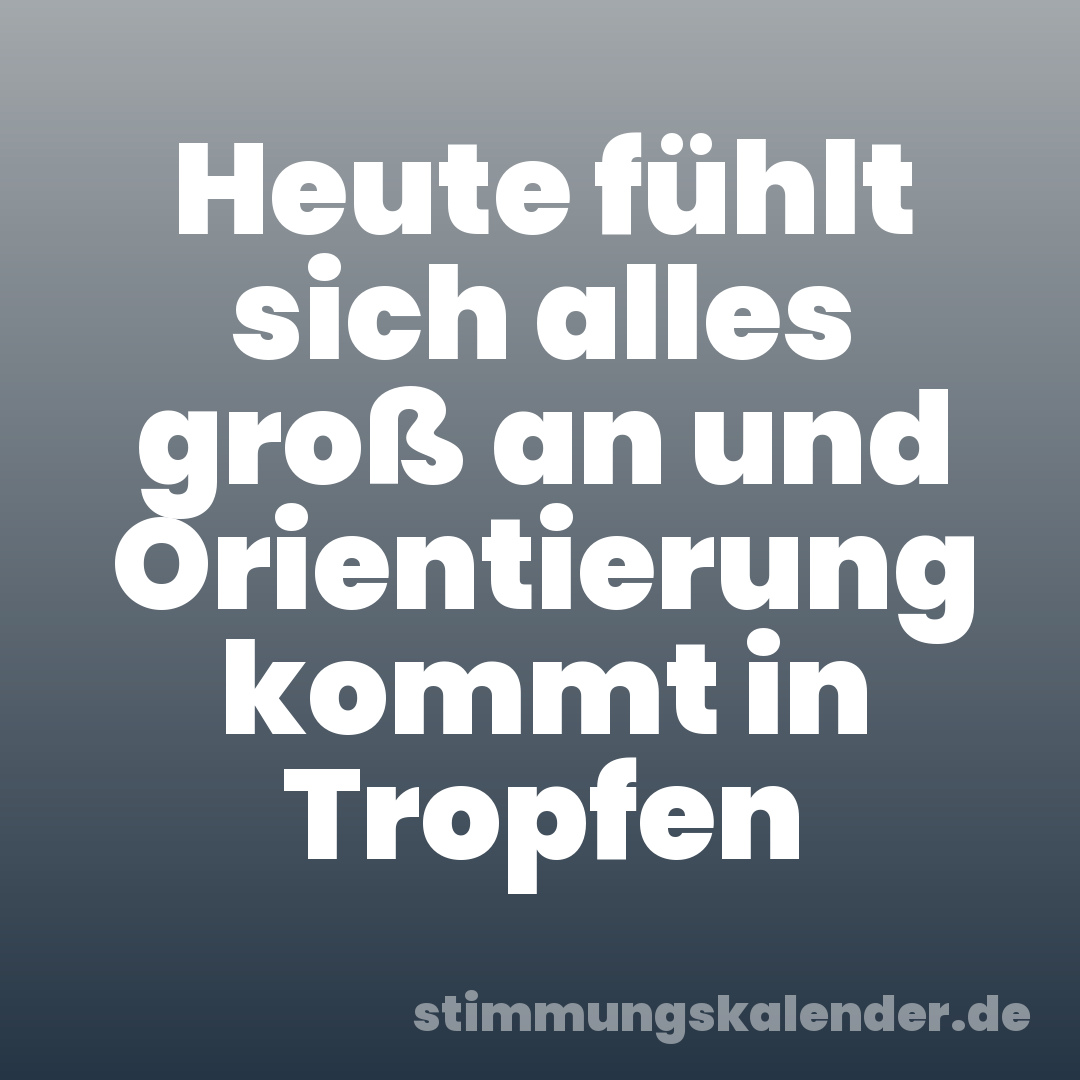 Heute fühlt sich alles groß an und Orientierung kommt in Tropfen