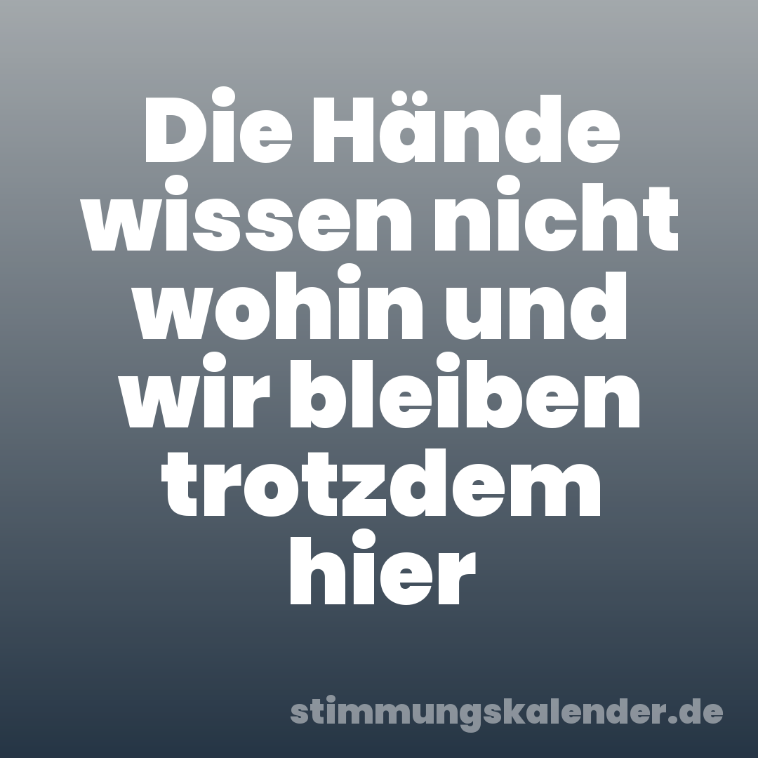 Die Hände wissen nicht wohin und wir bleiben trotzdem hier