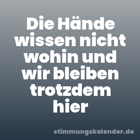 Die Hände wissen nicht wohin und wir bleiben trotzdem hier