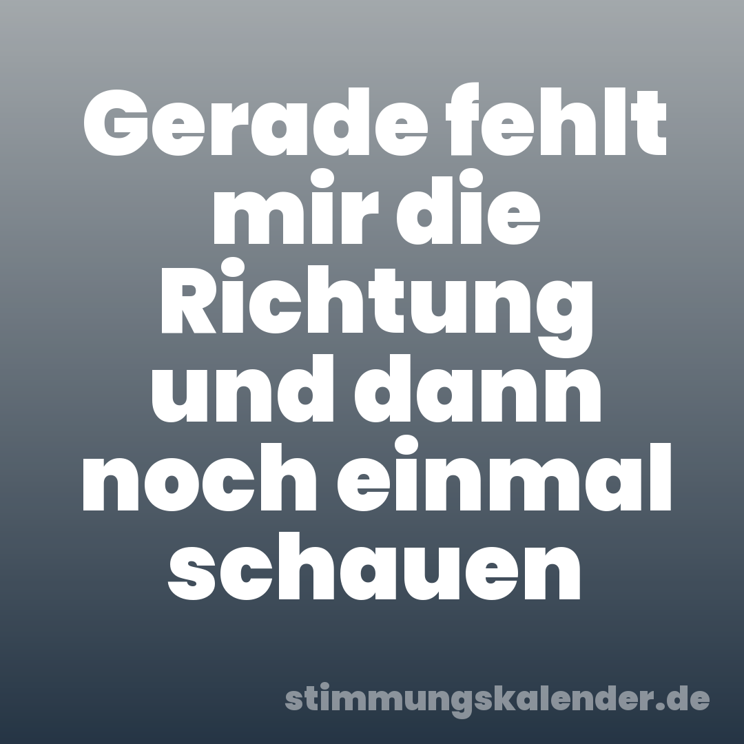 Gerade fehlt mir die Richtung und dann noch einmal schauen