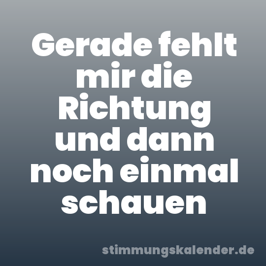 Gerade fehlt mir die Richtung und dann noch einmal schauen