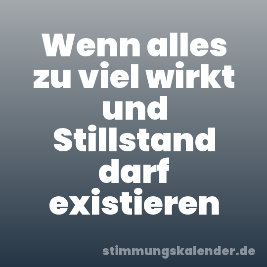 Wenn alles zu viel wirkt und Stillstand darf existieren