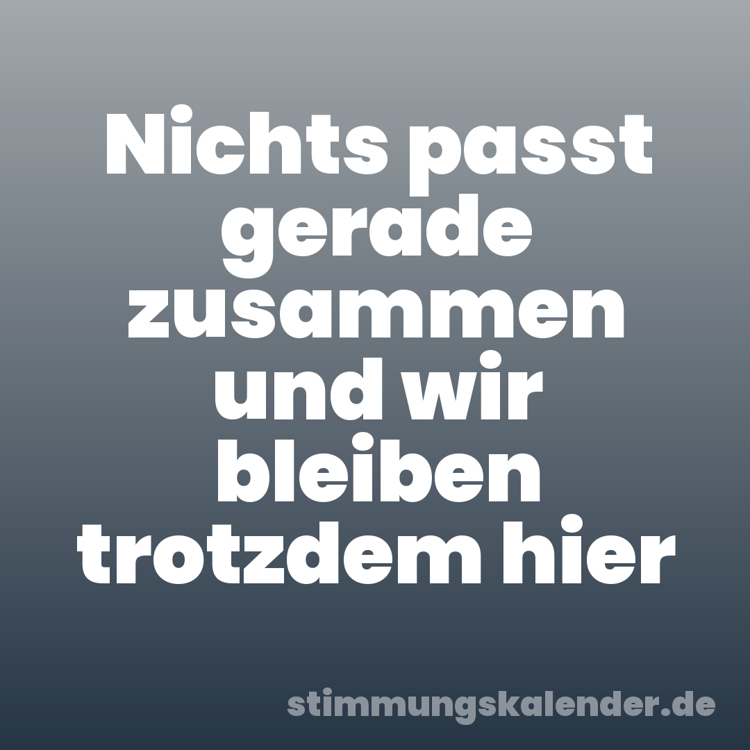 Nichts passt gerade zusammen und wir bleiben trotzdem hier
