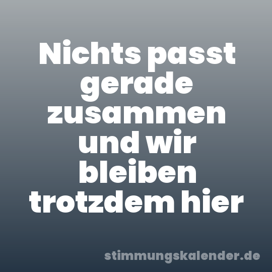 Nichts passt gerade zusammen und wir bleiben trotzdem hier