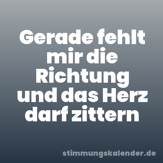 Gerade fehlt mir die Richtung und das Herz darf zittern
