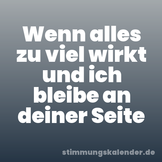 Wenn alles zu viel wirkt und ich bleibe an deiner Seite
